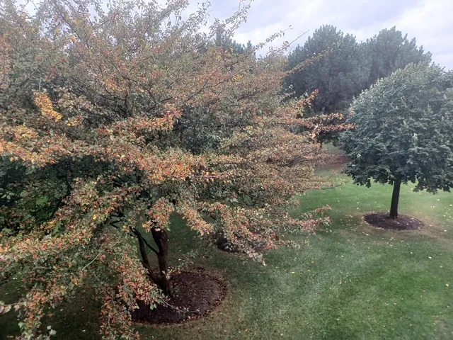 $329,000 | 24333 Leski Lane, Plainfield, IL 60585