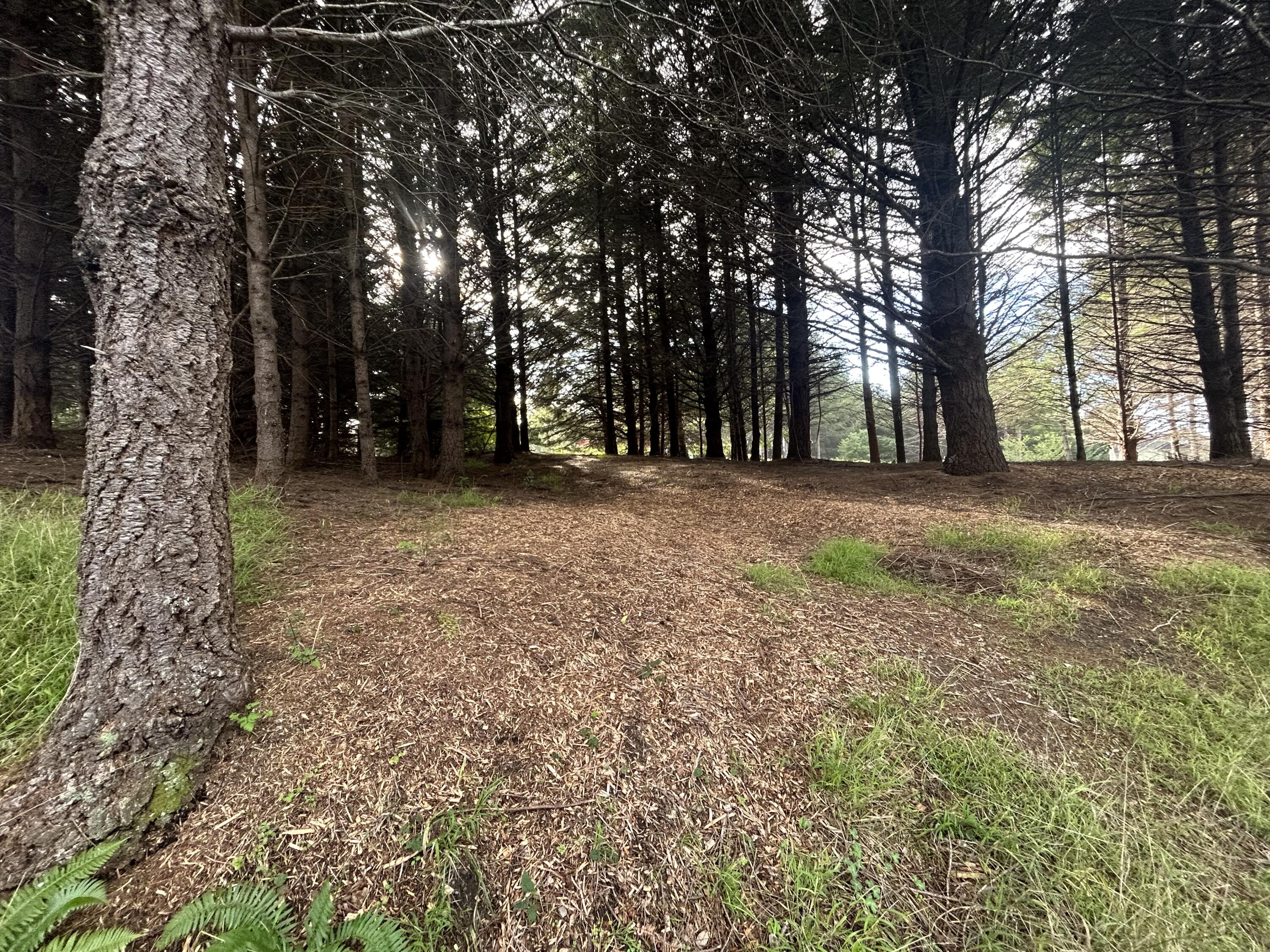 384 Ridge Road Shelter Cove, CA 95589 - Photo 9 of 10