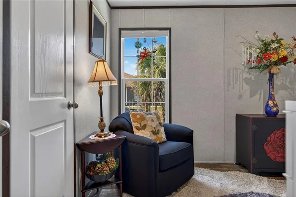 a living room with furniture flowerpot and a potted plant