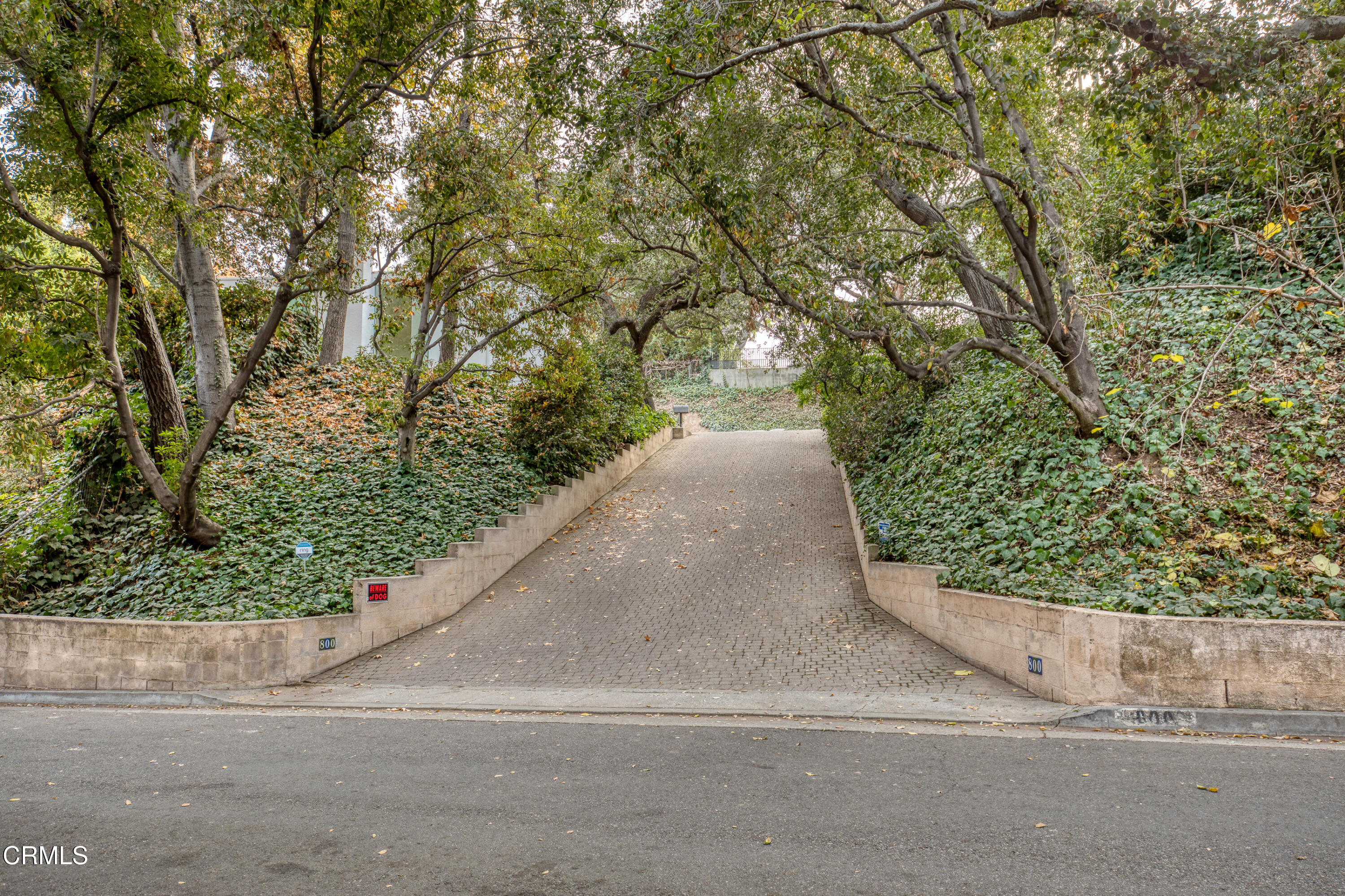800 Canon Drive Pasadena, CA 91106 - Photo 48 of 49 a view of a yard with plants