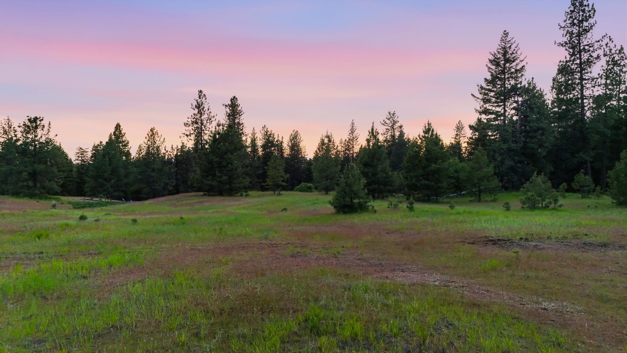 682 Henry Road Elk, WA 99009 - Photo 12 of 21