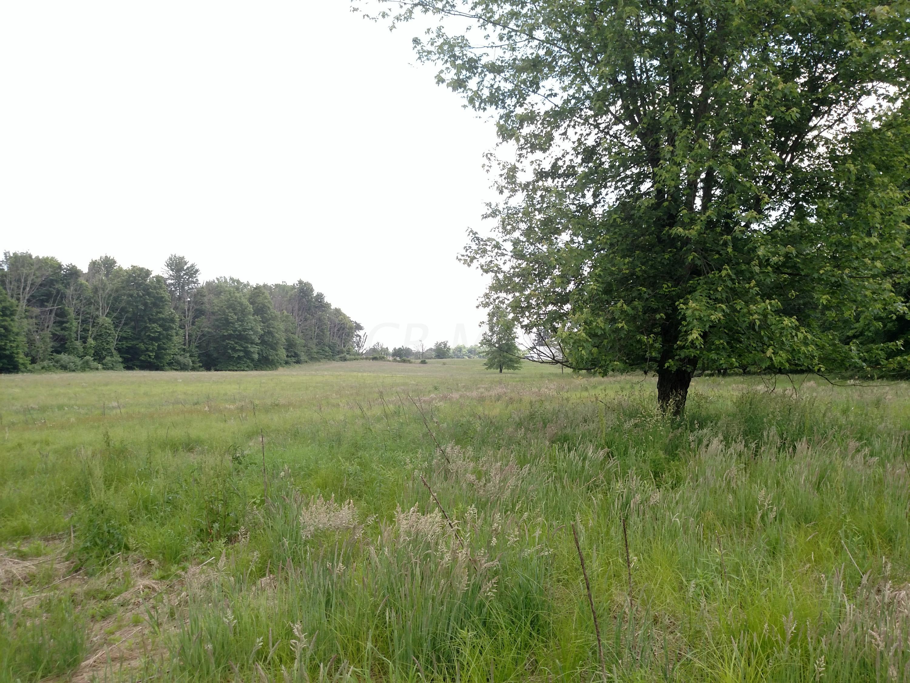 0 York Road Southwest Granville, OH 43023 - Photo 5 of 10