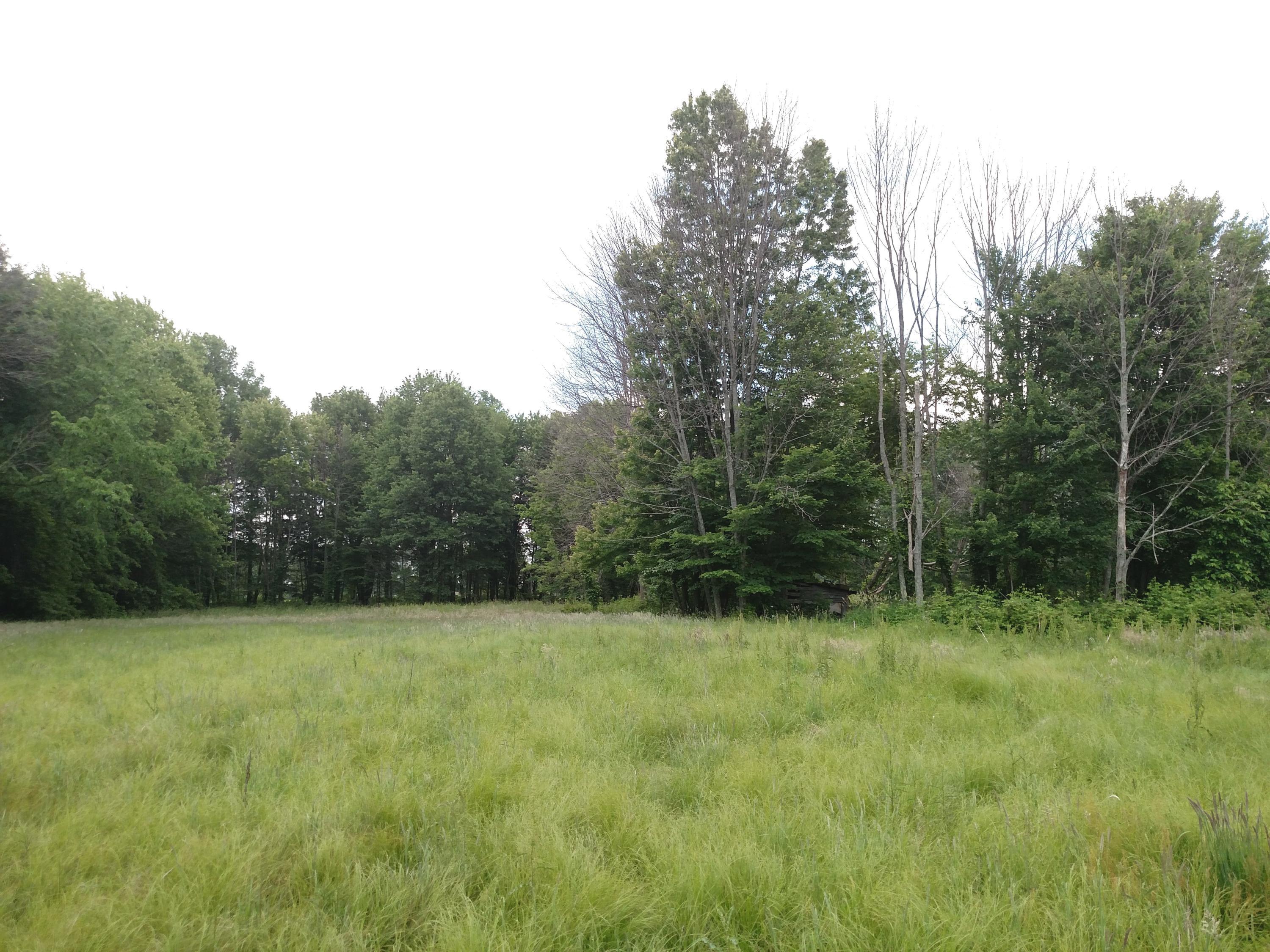 0 York Road Southwest Granville, OH 43023 - Photo 7 of 10