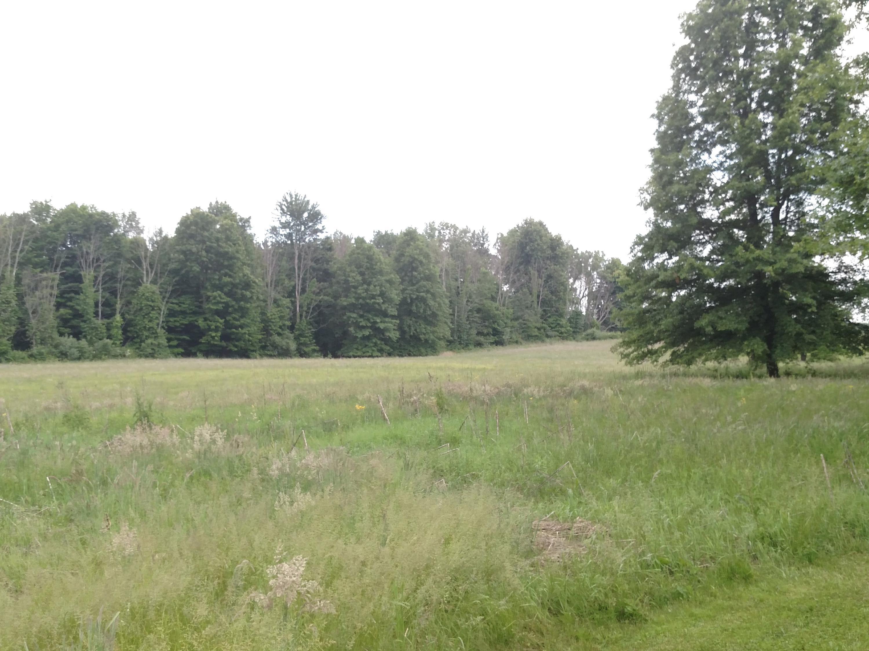 0 York Road Southwest Granville, OH 43023 - Photo 8 of 10