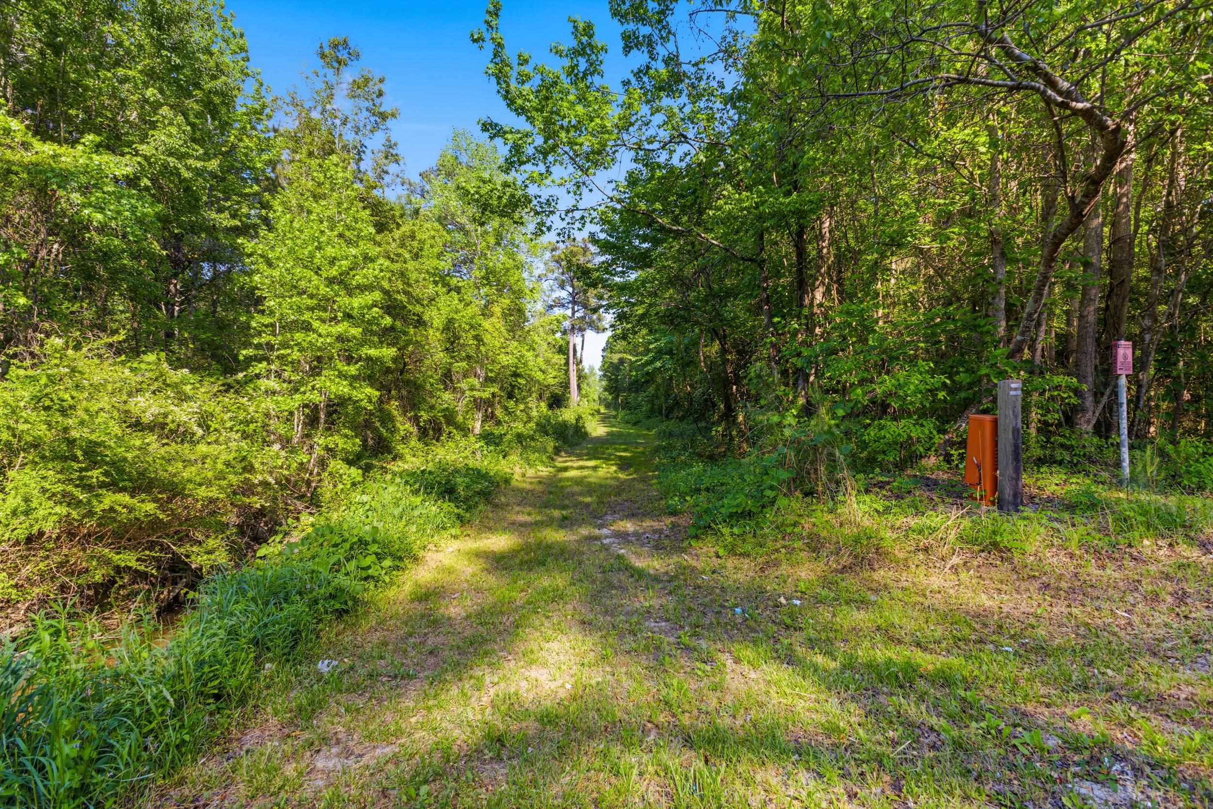 4699 Red Bluff Road Loris, SC 29569 - Photo 68 of 71