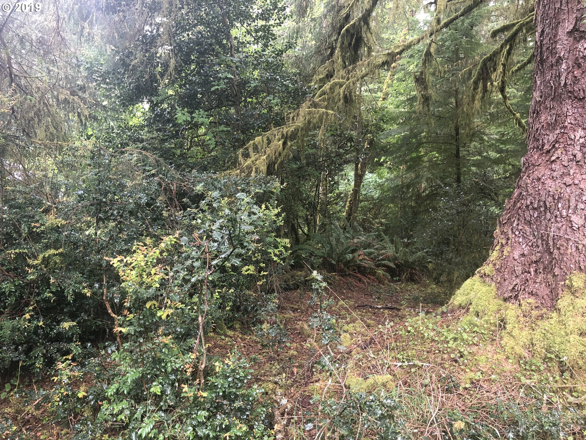 Boy Scout Road Florence, OR 97439 - Photo 1 of 12