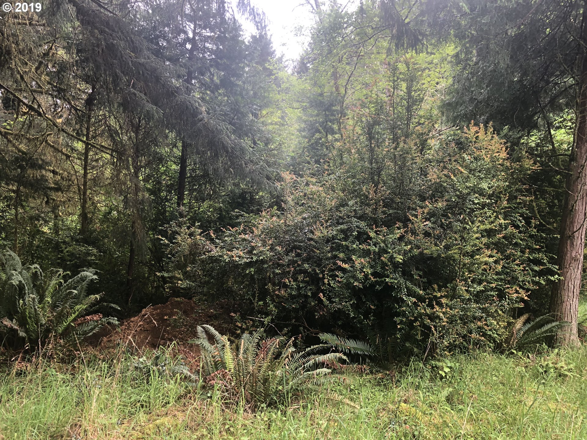 Boy Scout Road Florence, OR 97439 - Photo 2 of 12