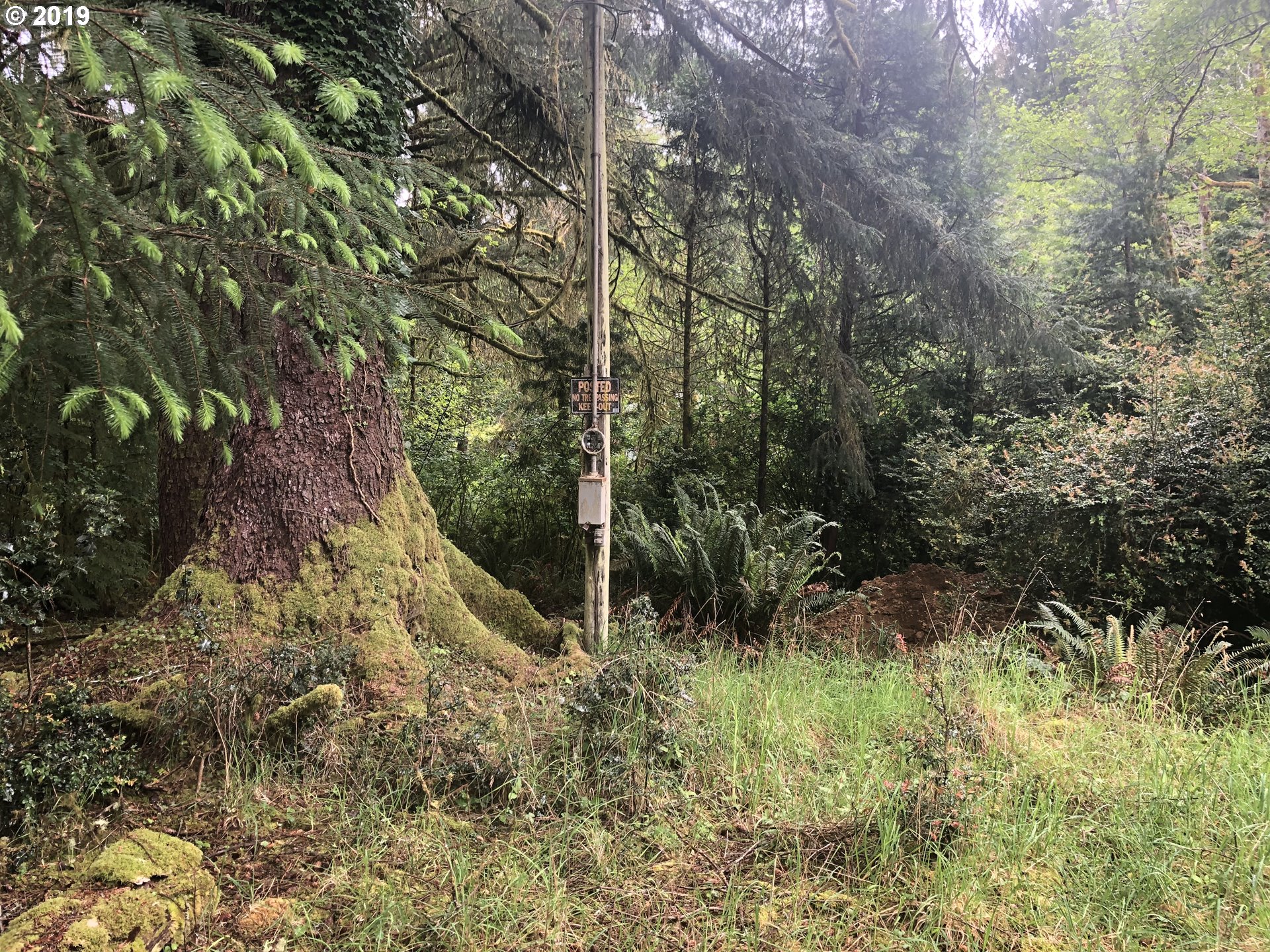 Boy Scout Road Florence, OR 97439 - Photo 3 of 12