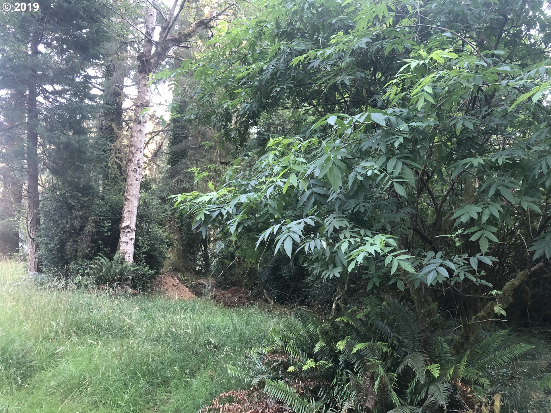 Boy Scout Road Florence, OR 97439 - Photo 5 of 12