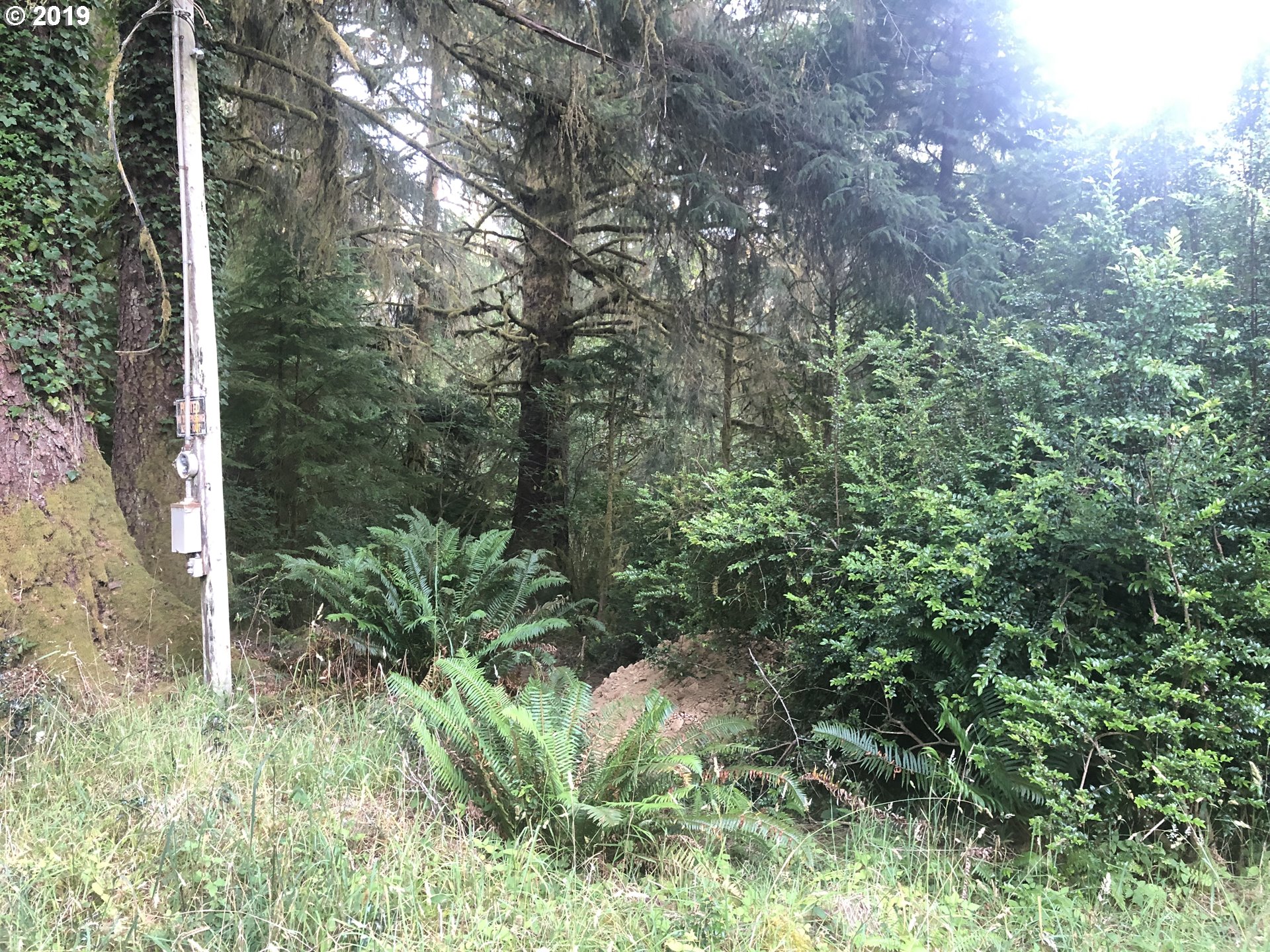 Boy Scout Road Florence, OR 97439 - Photo 7 of 12