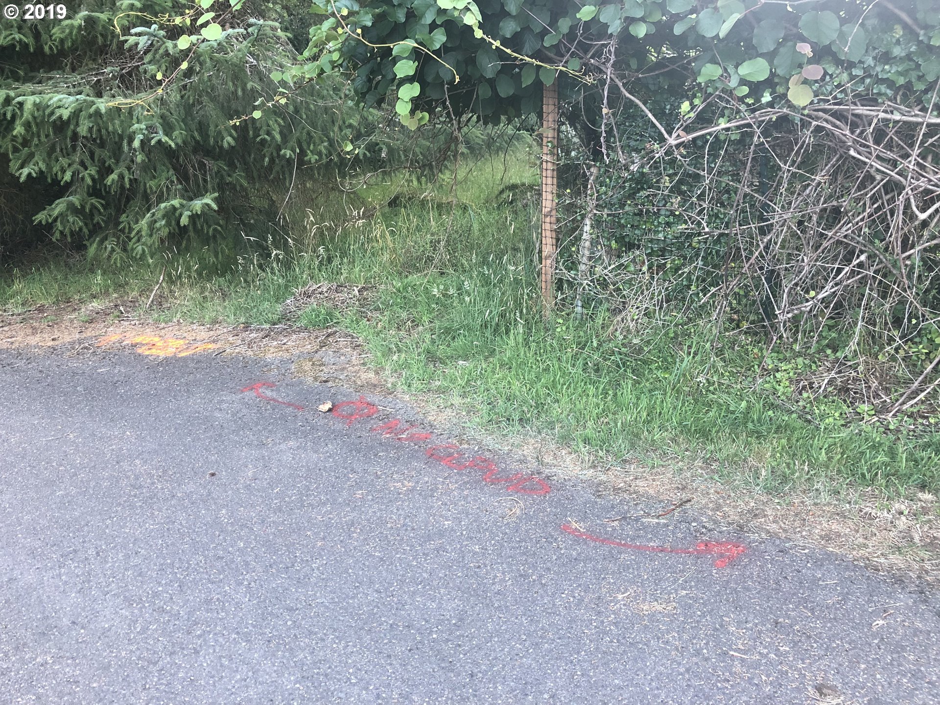 Boy Scout Road Florence, OR 97439 - Photo 8 of 12