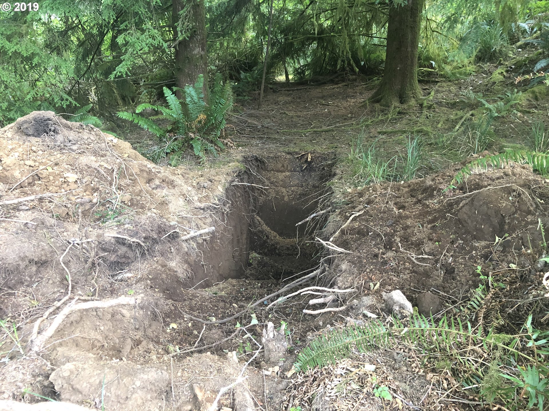 Boy Scout Road Florence, OR 97439 - Photo 9 of 12