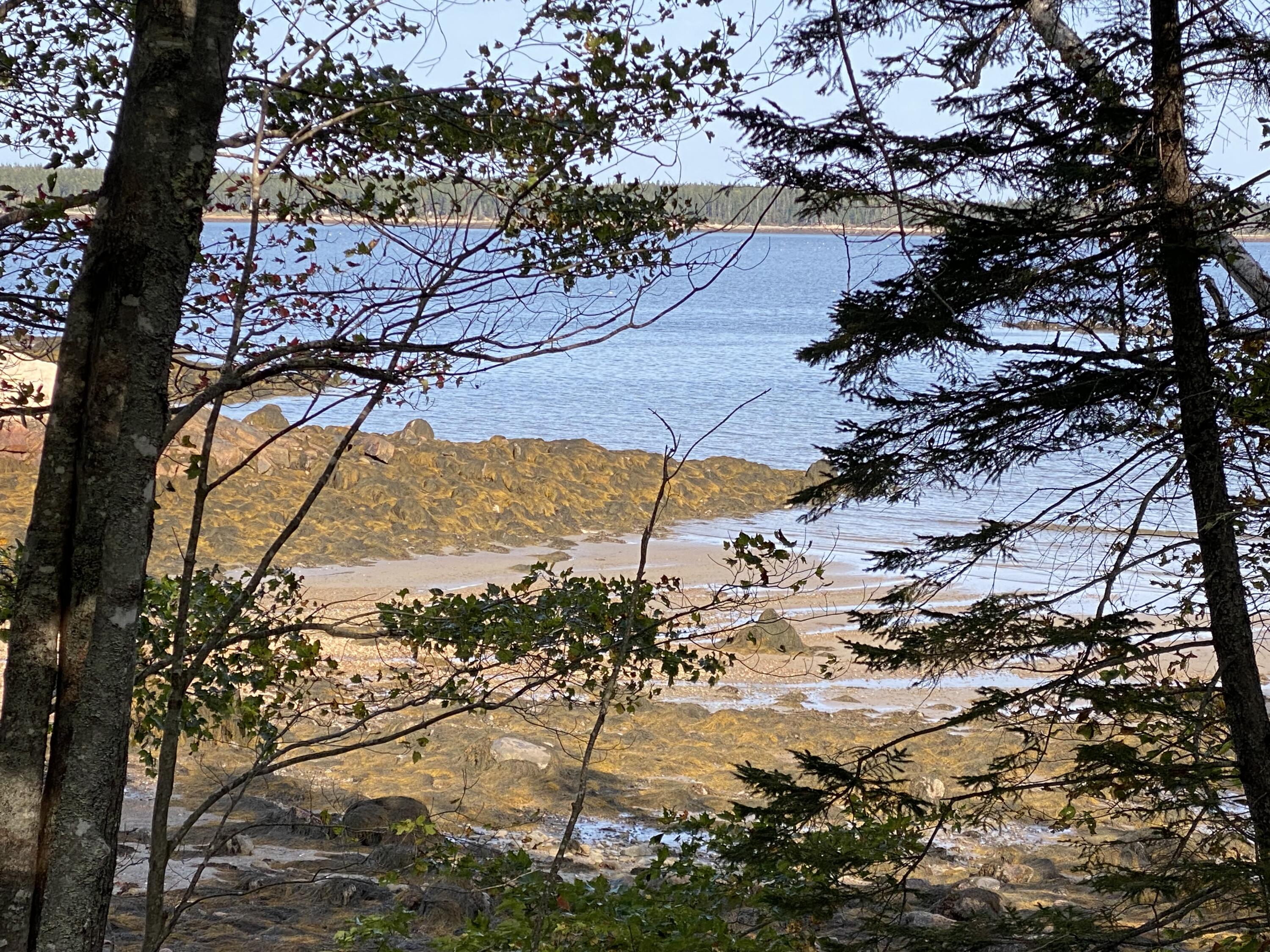 182 Paul Bunyan Road Corea, ME 04624 - Photo 16 of 45 4