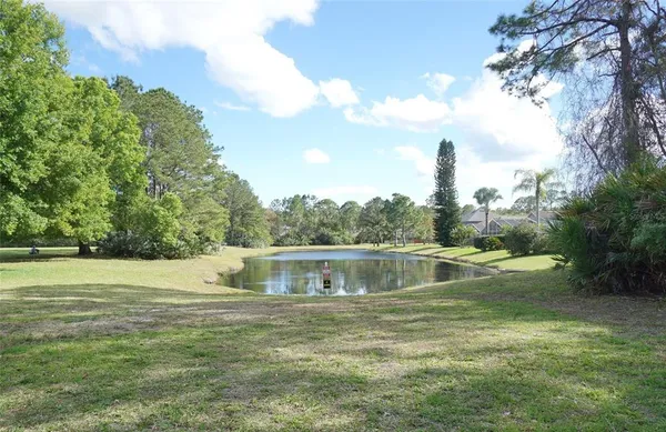 $3,600 | 14330 Moon Flower Drive, Tampa, FL 33626