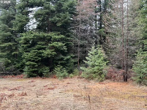 $125,000 | 0 Highway 204 Weston Or 97886, Weston, OR 97886