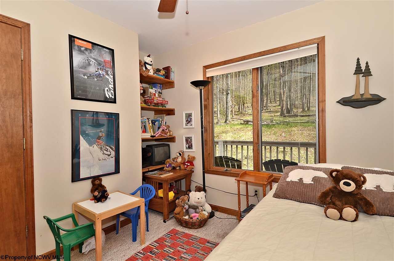 2198 Cabin Mountain Road Davis, WV 26260 - Photo 10 of 20 Gallery Image 10
