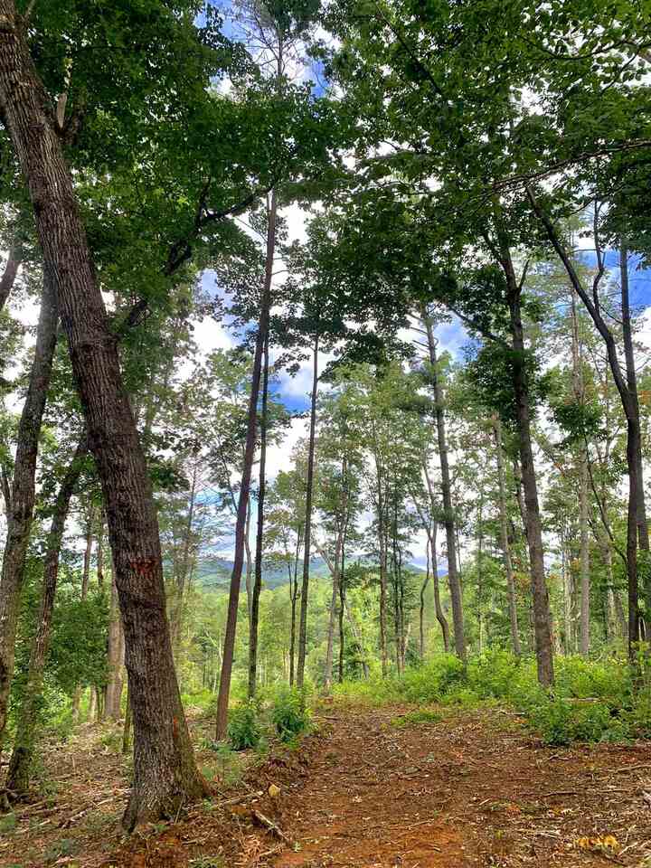 a view of outdoor space and trees