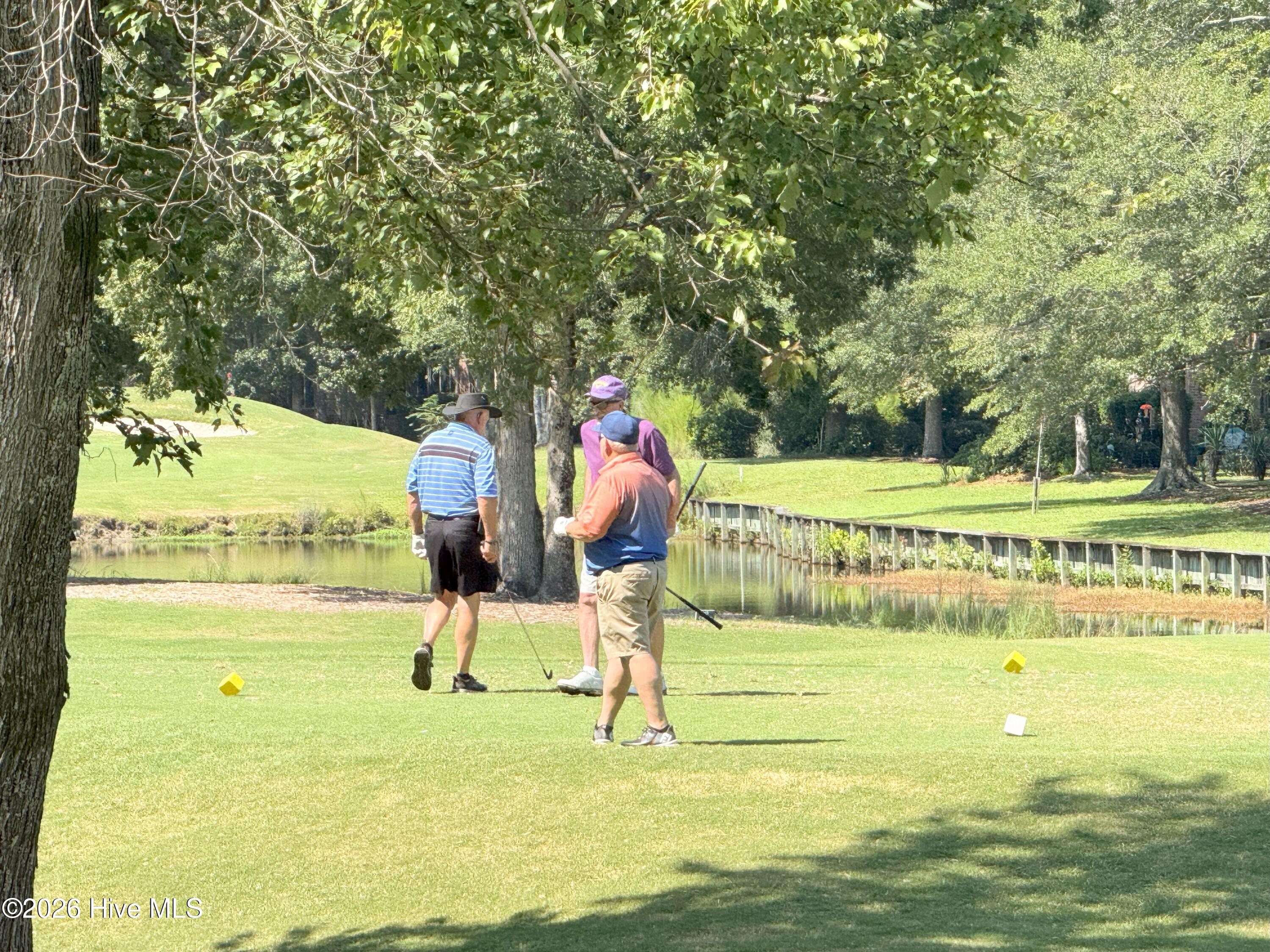 3305 Peppercorn Road New Bern, NC 28562 - Photo 33 of 41 Golfers
