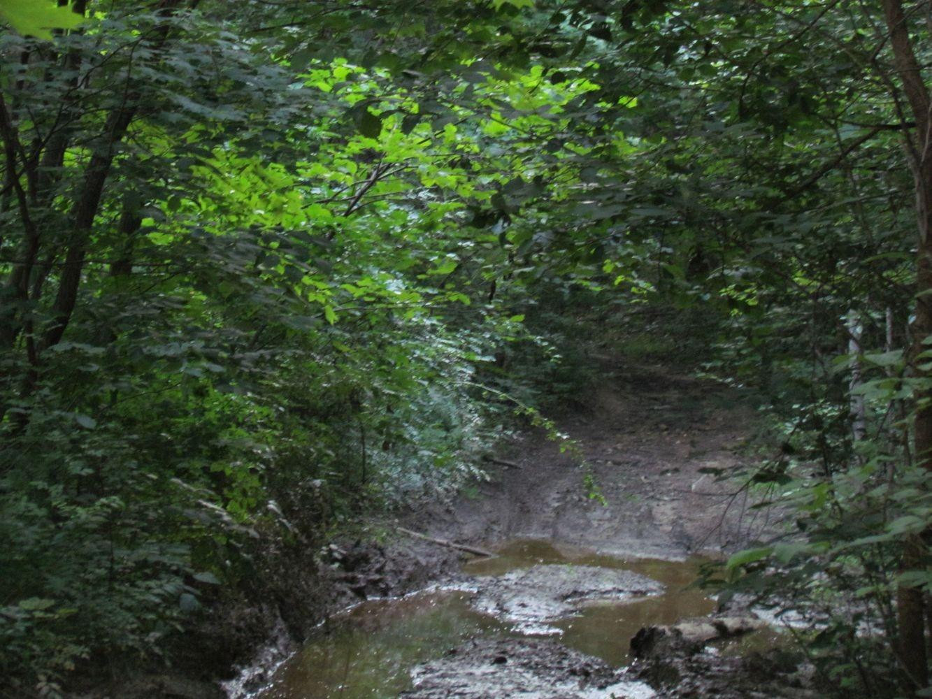 0 Buzzard Rock Road McKee, KY 40447 - Photo 8 of 15 Photo 8