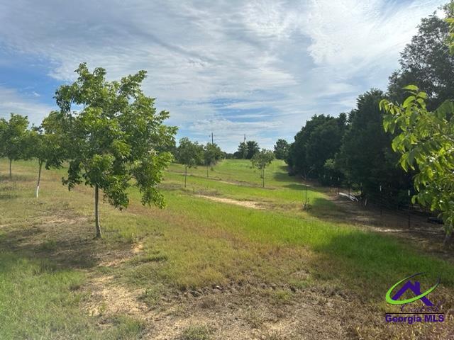 Henderson Springs Road Elko, GA 31025 - Photo 10 of 24