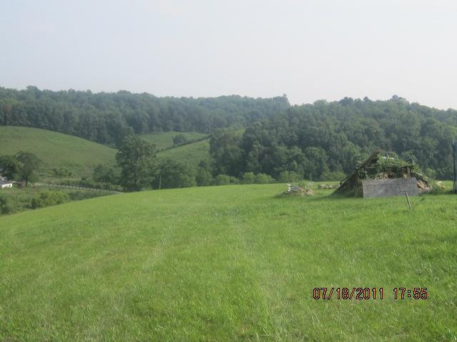 1980 Saltwell Road Carlisle, KY 40311 - Photo 7 of 9 Photo 7