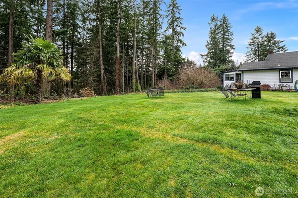 a view of a backyard with couches plants and large trees