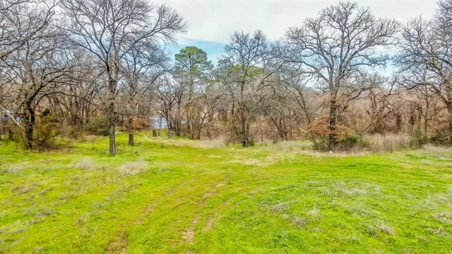a view of yard with trees