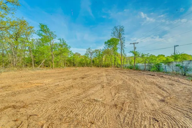 a view of yard with trees