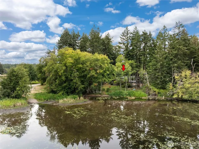 a view of a tree with a yard