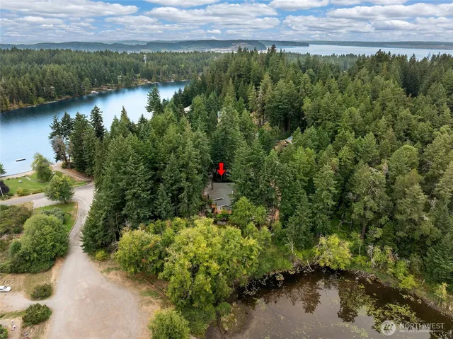 a view of a house with potted plants and large tree