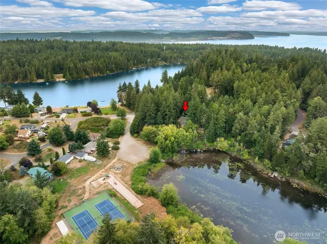 a view of a lake with a city
