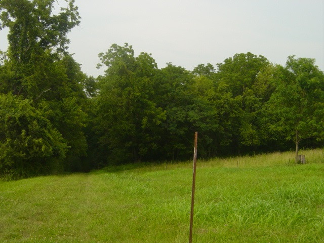 South Ripl SOUTH Ripl Road Dover, KY 41034 - Photo 3 of 14 Gallery Image 3