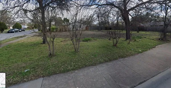 a view of a forest with trees