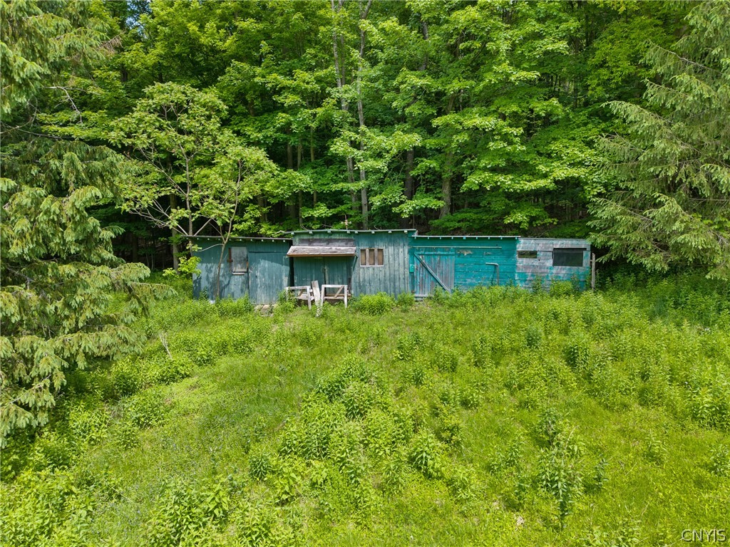 2696 Lyons Road Camillus, NY 13031 - Photo 26 of 31