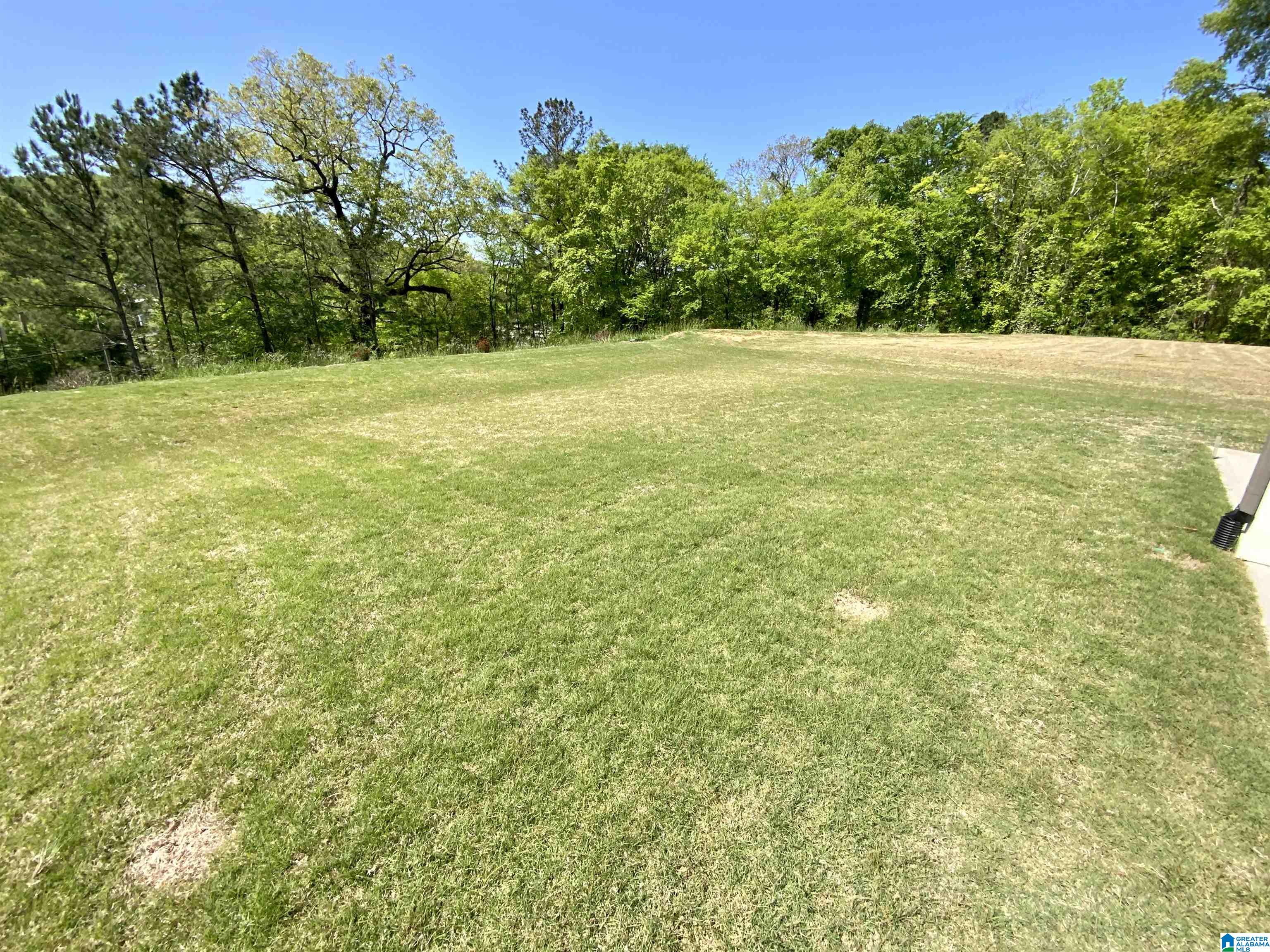 57 MacDonald Cove Springville, AL 35146 - Photo 22 of 22