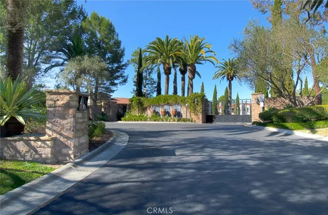 a street view with potted plants and palm trees