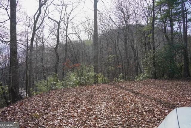 $149,000 | 0 High Holly, Unit 3HH, Tiger, GA 30576