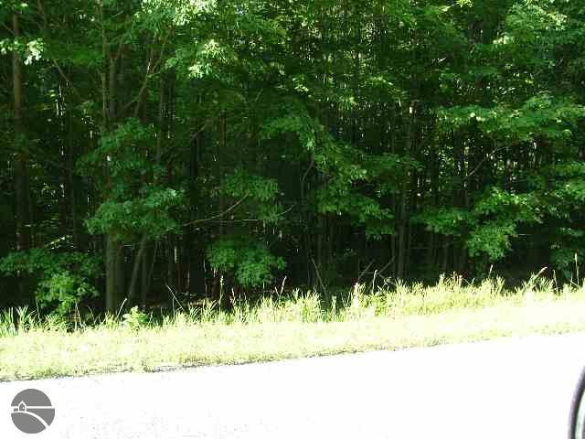 11 Mile Road Bear Lake, MI 49614 - Photo 3 of 4 1667213-2.JPG