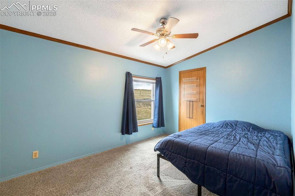 13335 Gymkhana Road Peyton, CO 80831 - Photo 30 of 38 Room featuring light blue walls, wood trim, textured ceiling, and a ceiling fan with integrated lighting