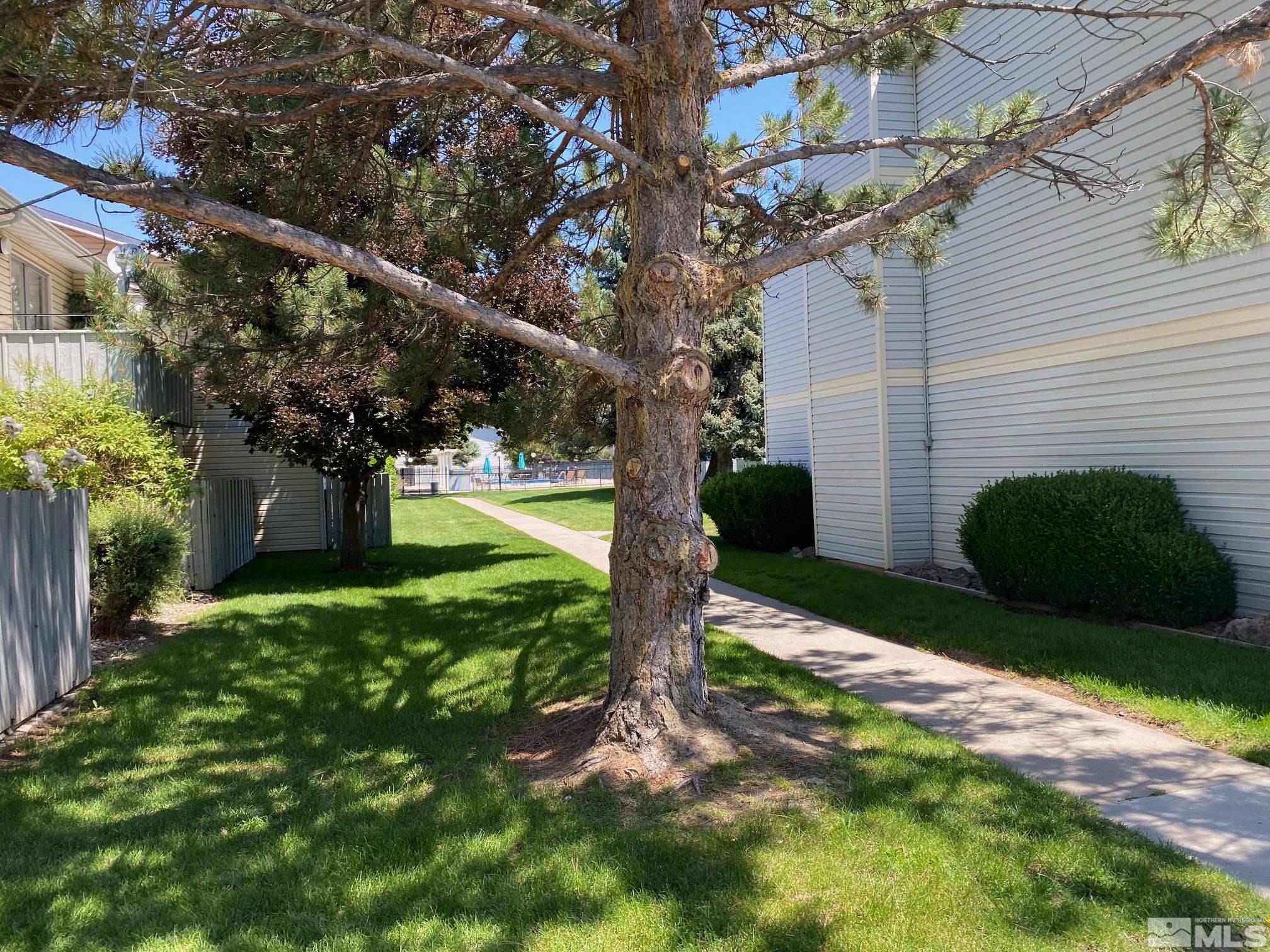 1533 Delucchi Lane Reno, NV 89502 - Photo 20 of 21 a view of a yard with plants and a large tree