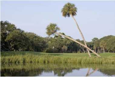 77 Rice Lane Edisto Beach, SC 29438 - Photo 11 of 13 Additional Photo