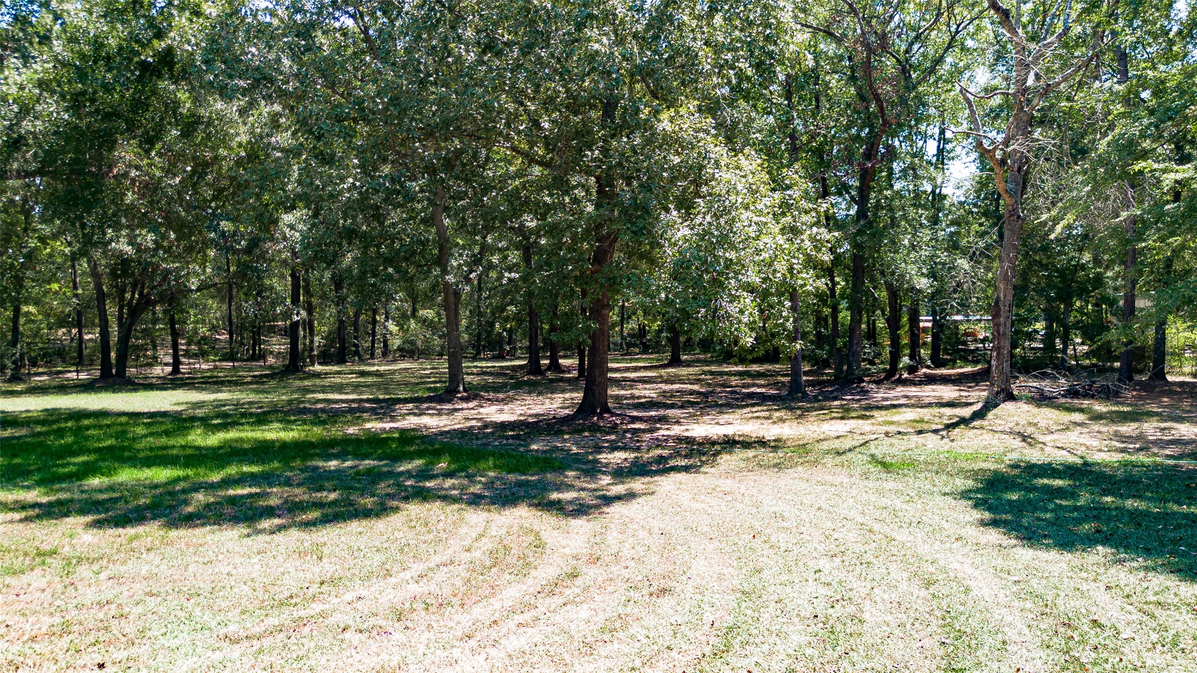 919 McCaleb Road Montgomery, TX 77316 - Photo 13 of 13 Gallery Image 13