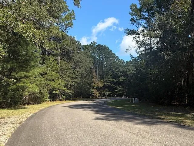 $580,000 | 3934 Gnarled Oaks Lane, Johns Island, SC 29455