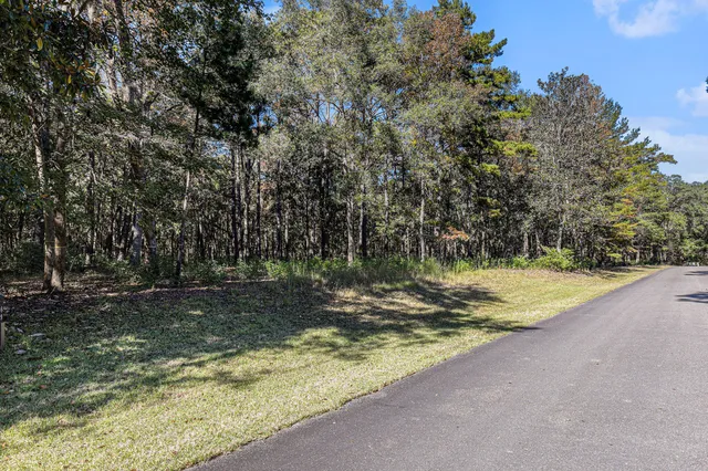 $580,000 | 3934 Gnarled Oaks Lane, Johns Island, SC 29455