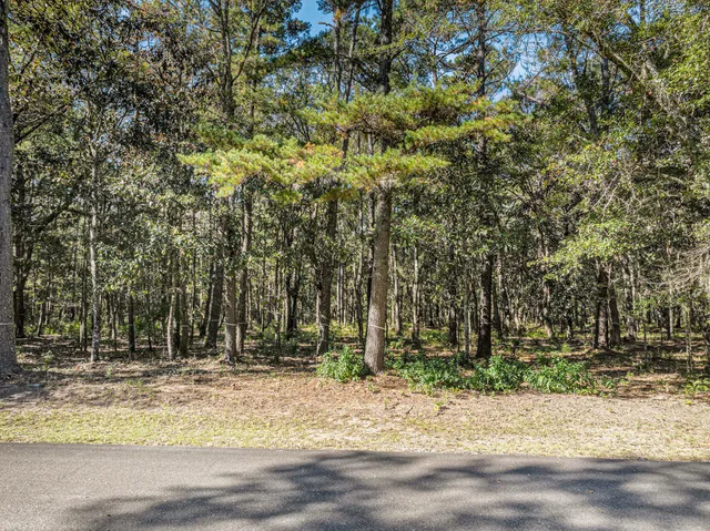 $580,000 | 3934 Gnarled Oaks Lane, Johns Island, SC 29455