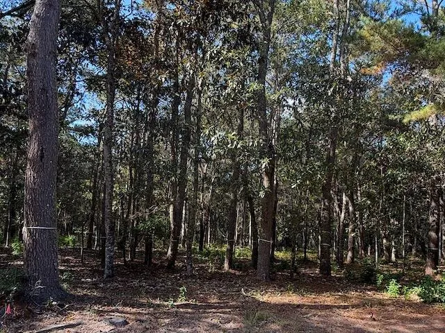 $580,000 | 3934 Gnarled Oaks Lane, Johns Island, SC 29455