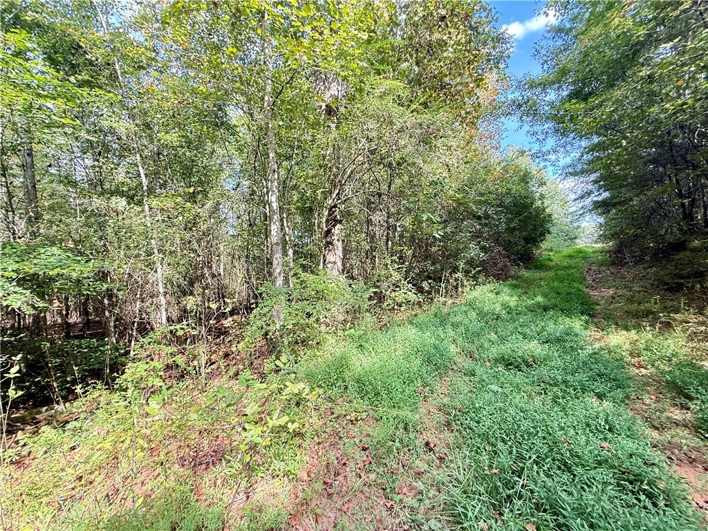 140 A Pickens Road Westminster, SC 29693 - Photo 28 of 48