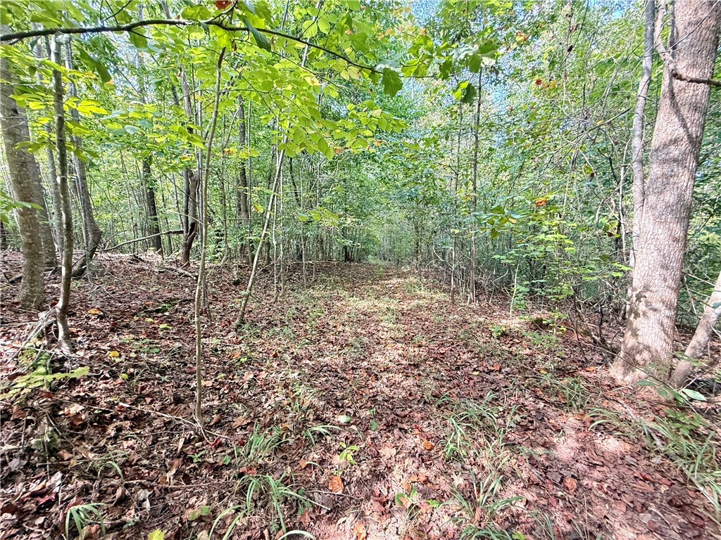 140 A Pickens Road Westminster, SC 29693 - Photo 32 of 48