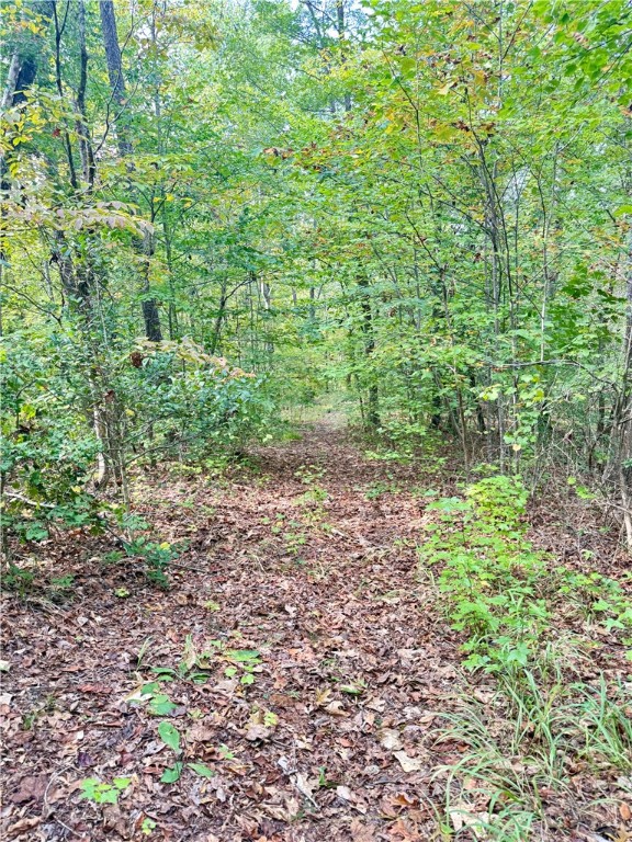 140 A Pickens Road Westminster, SC 29693 - Photo 33 of 48