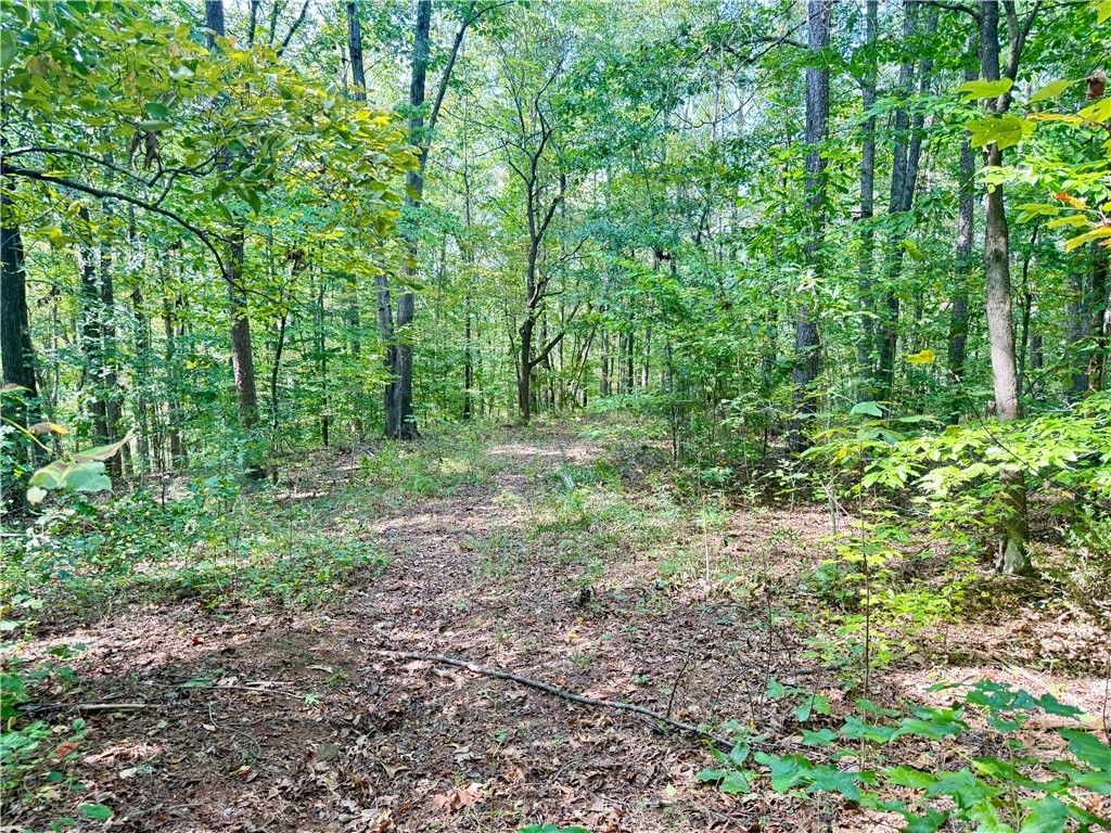 140 A Pickens Road Westminster, SC 29693 - Photo 34 of 48